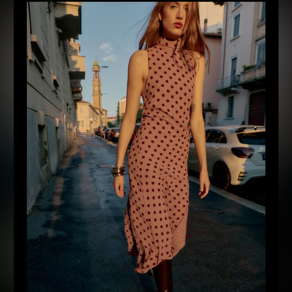Zara Burgundy Polka Dot Maxi Dress